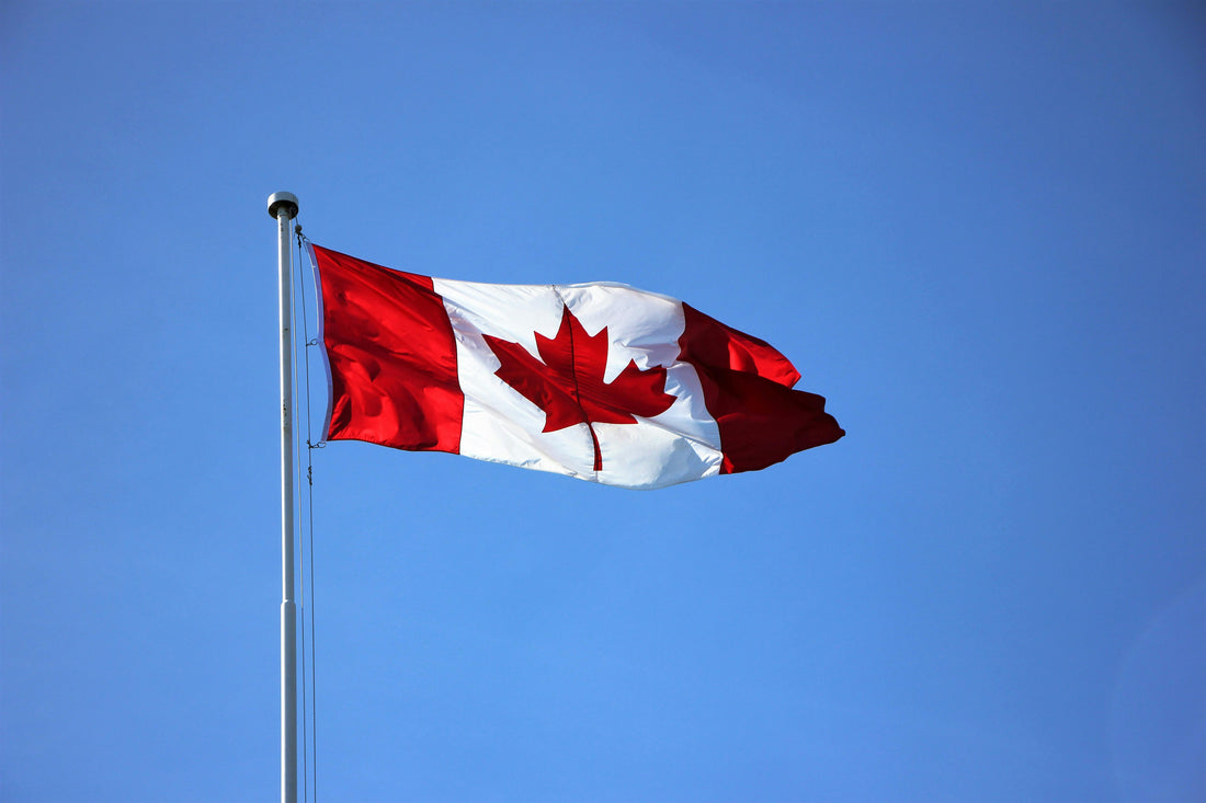 Homegrown comfort why made in Canada matters to us
